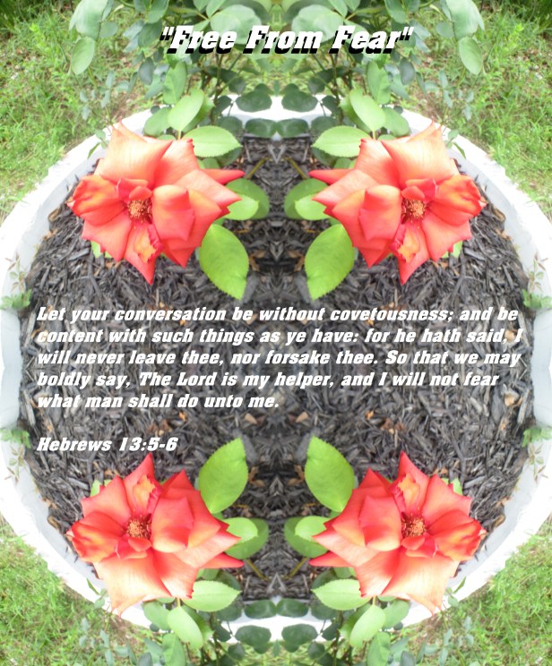 © Photo Artist Susan ruth Robertson 09002500100 038 - Copy - Copy.JPG