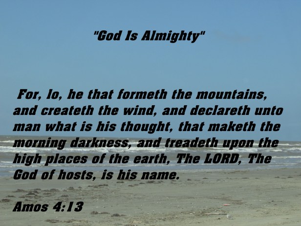 © Photo Artist Susan ruth Robertson 09002500100 043 - Copy.JPG