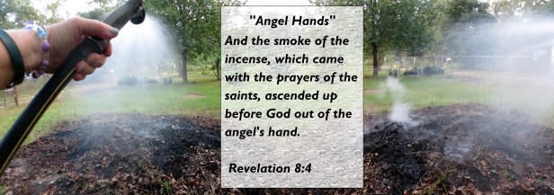 © Photo Artist Susan Ruth Robertson 090025006100 002 - Copy.JPG