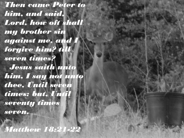 © Photo Artist Susan Ruth Robertson 090025006100 007 - Copy.JPG