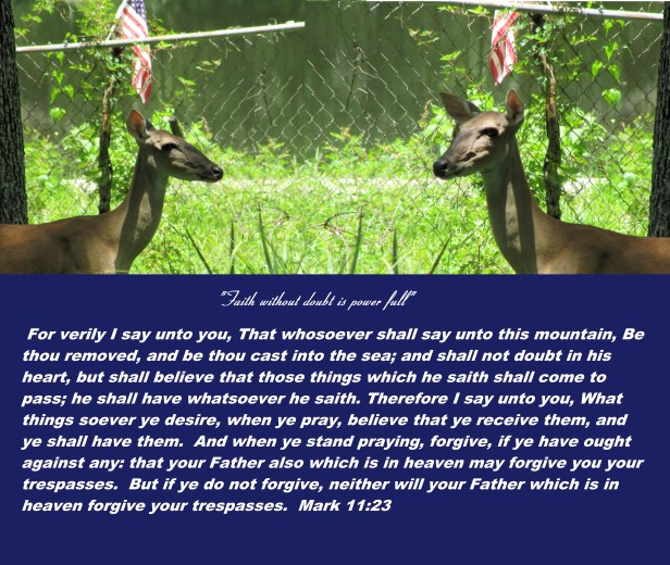 © Photo Artist Susan Ruth Robertson 090025006100 008 - Copy (2).JPG