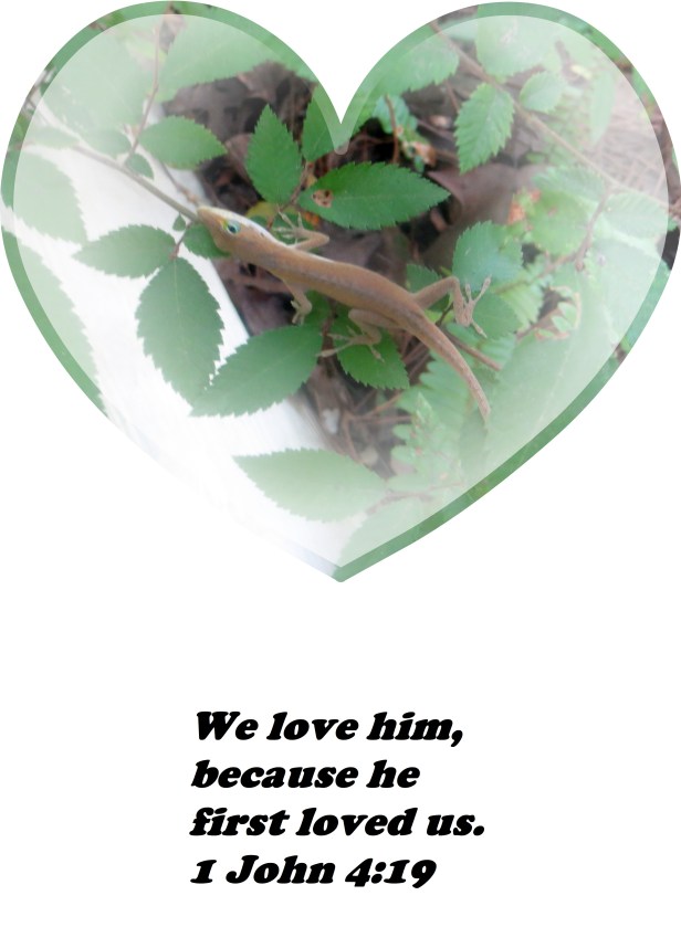 © Photo Artist Susan Ruth Robertson 090025006100 009 - Copy.JPG