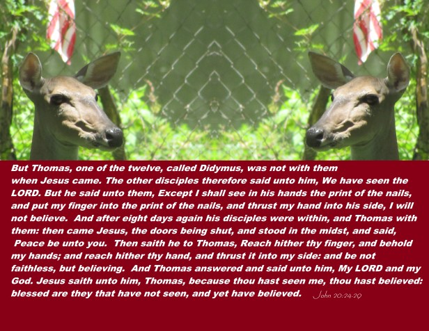 © Photo Artist Susan Ruth Robertson 090025006100 010 - Copy - Copy.JPG