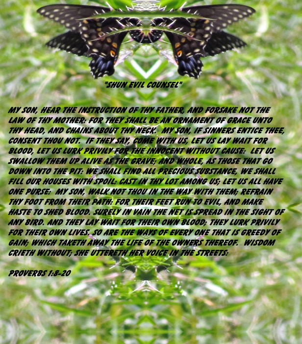 © Photo Artist Susan Ruth Robertson 090025006100 016 - Copy (3) - Copy.JPG