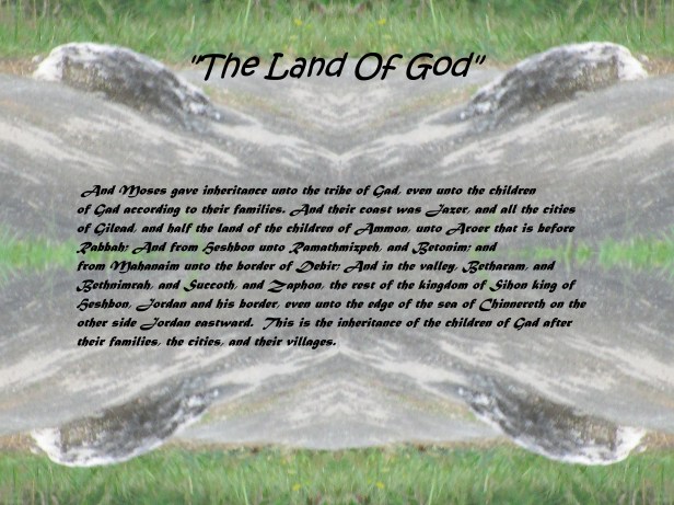 © Photo Artist Susan Ruth Robertson 090025006100 020 - Copy - Copy.JPG