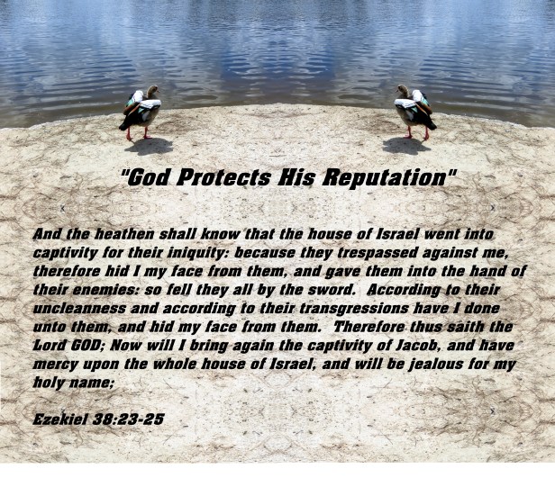 © Photo Artist Susan Ruth Robertson 090025006100 029 - Copy - Copy (2).JPG