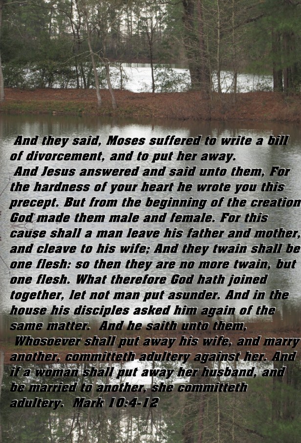 © Photo Artist Susan Ruth Robertson 090025006100 044 - Copy.JPG