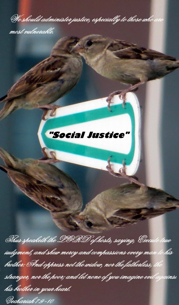 © Photo Artist Susan Ruth Robertson SX260 HS 022 - Copy.JPG