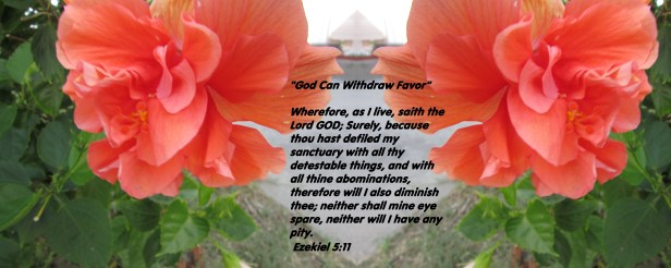 ©Photo Artist Susan Robertson all Rights Reserved 150 - Copy.JPG