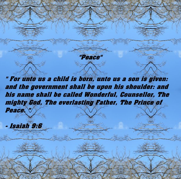 Peanuts & Baby crane & beautiful sceenery 2013 feb 001 - Copy - Copy - Copy - Copy.JPG