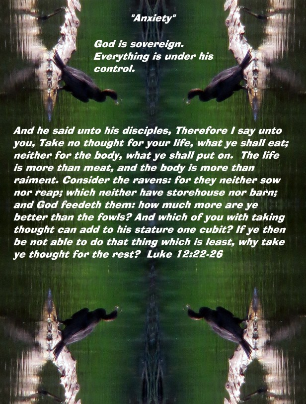 SX260 HS © Photo Artist Susan Ruth Robertson 090025006100 002 - Copy.JPG