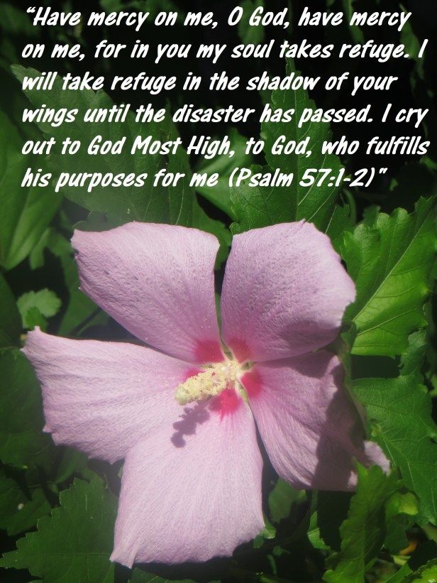 © Photo Artist Susan ruth Robertson 09002500100 031 - Copy.JPG