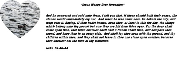 © Photo Artist Susan Ruth Robertson 090025006100 001 - Copy - Copy.JPG