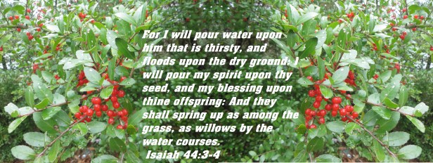 © Photo Artist Susan Ruth Robertson 090025006100 002 - Copy - Copy.JPG