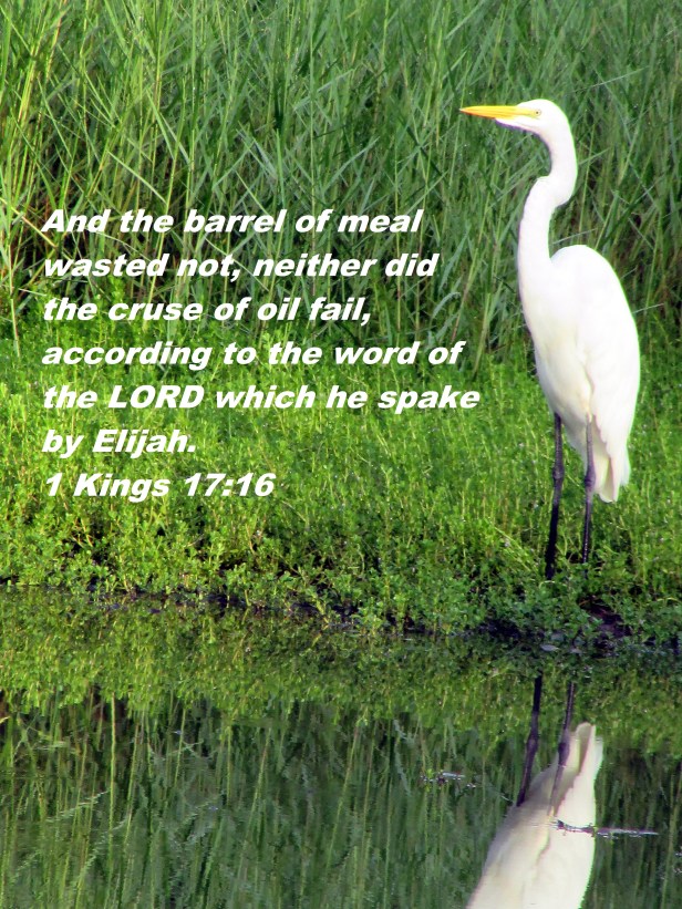 © Photo Artist Susan Ruth Robertson 090025006100 004 - Copy.JPG