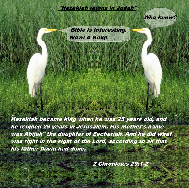 © Photo Artist Susan Ruth Robertson 090025006100 006 - Copy (2).JPG