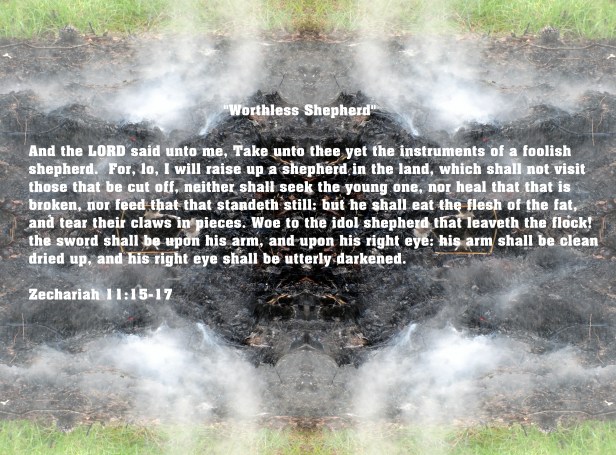 © Photo Artist Susan Ruth Robertson 090025006100 006 - Copy - Copy.JPG