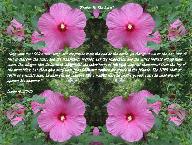 © Photo Artist Susan Ruth Robertson 090025006100 006 - Copy - Copy.JPG