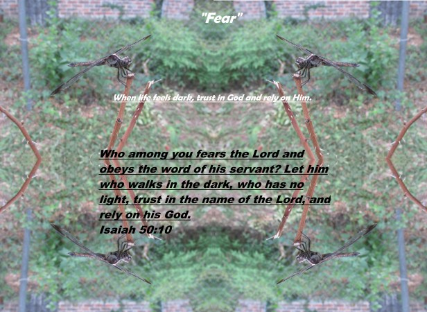 © Photo Artist Susan Ruth Robertson 090025006100 009 - Copy.JPG