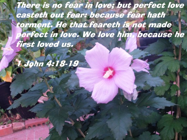 © Photo Artist Susan Ruth Robertson 090025006100 016 - Copy (2).JPG