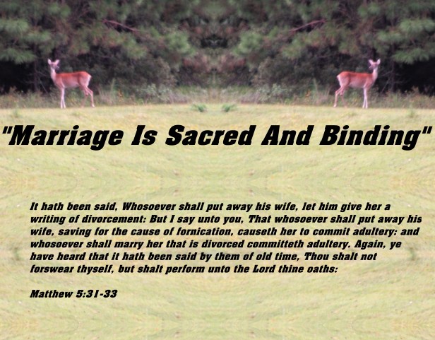 © Photo Artist Susan Ruth Robertson 090025006100 016 - Copy - Copy (2) - Copy.JPG