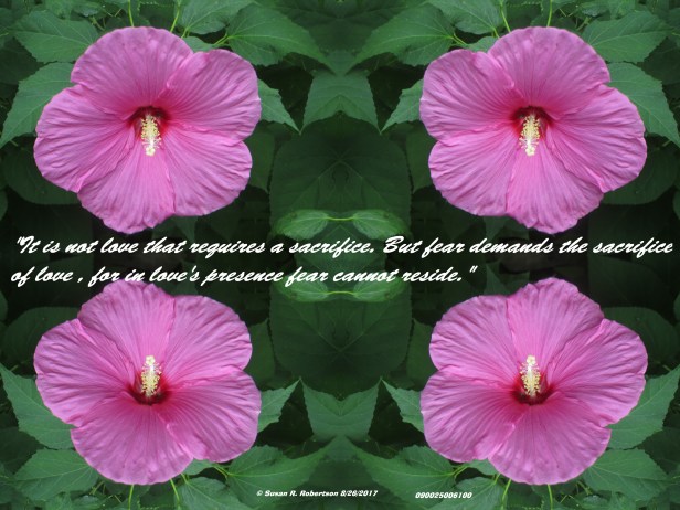 © Photo Artist Susan Ruth Robertson 090025006100 016 - Copy - Copy.JPG