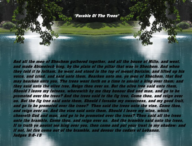 © Photo Artist Susan Ruth Robertson 090025006100 029 - Copy - Copy - Copy - Copy - Copy - Copy.JPG