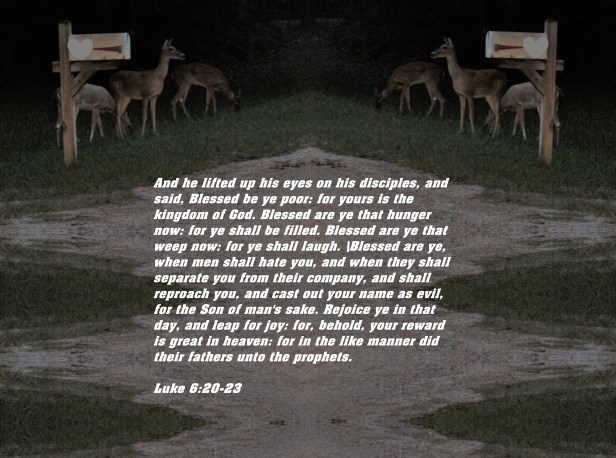 © Photo Artist Susan Ruth Robertson 090025006100 034 - Copy - Copy (3).JPG