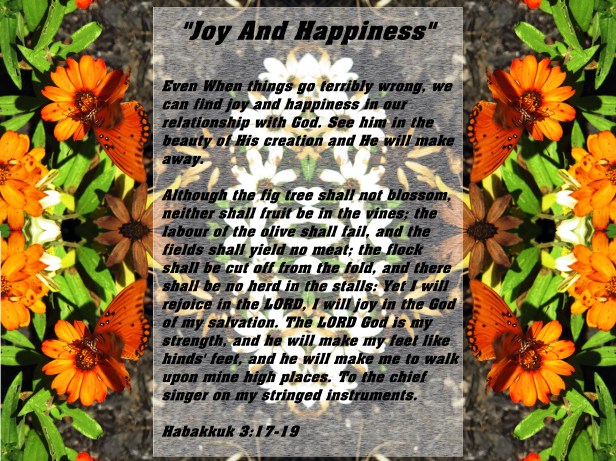 © Photo Artist Susan Ruth Robertson 090025006100 037 - Copy - Copy.JPG