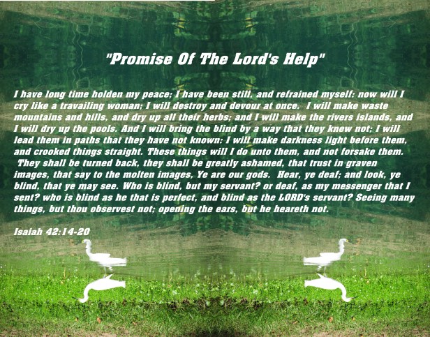 © Photo Artist Susan Ruth Robertson 090025006100 051 - Copy - Copy (2) - Copy.JPG