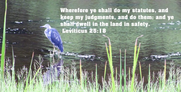 © Photo Artist Susan Ruth Robertson 090025006100 085 - Copy - Copy.JPG