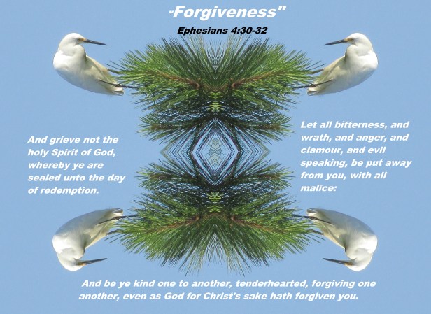 © Photo Artist Susan Ruth Robertson 090025006100 088 - Copy.JPG