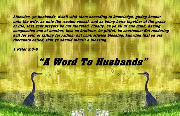 © Photo Artist Susan Ruth Robertson 090025006100 107 - Copy (2) - Copy - Copy - Copy - Copy - Copy.JPG