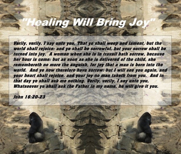 © Photo Artist Susan Ruth Robertson 090025006100 173 - Copy - Copy (2) - Copy.JPG