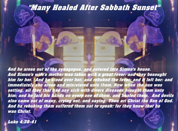 © Photo Artist Susan Ruth Robertson 090025006100 295 - Copy - Copy.JPG