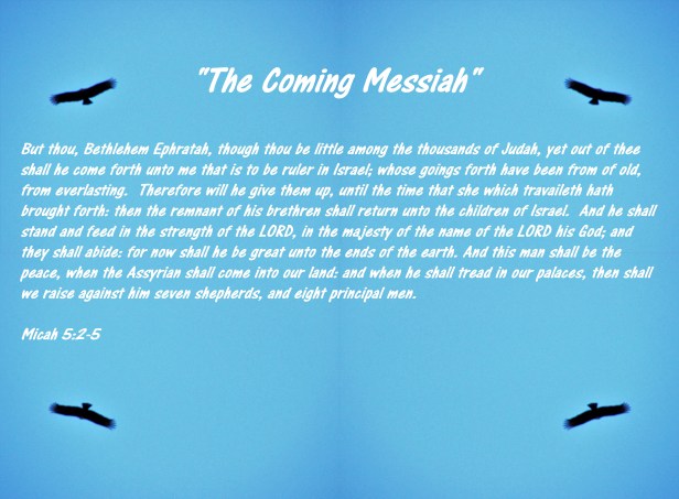 © Photo Artist Susan Ruth Robertson 090025006100 😁🙏💯 004 (5) - Copy - Copy.JPG