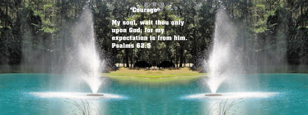 © Photo Artist Susan Ruth Robertson 090025006100 SX 400 IS 018 - Copy.JPG