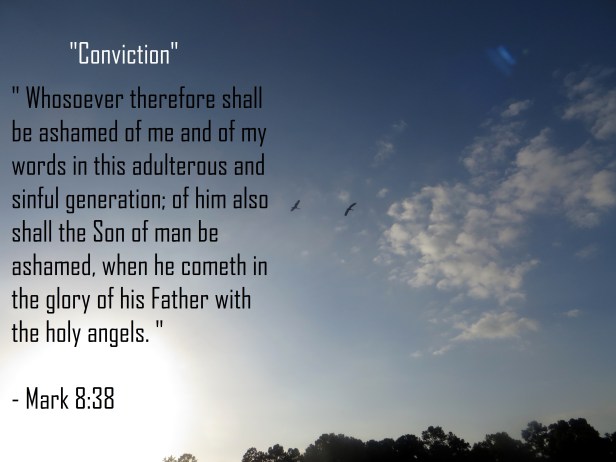 SX260 HS © Photo Artist Susan Ruth Robertson 090025006100 004 - Copy - Copy.JPG