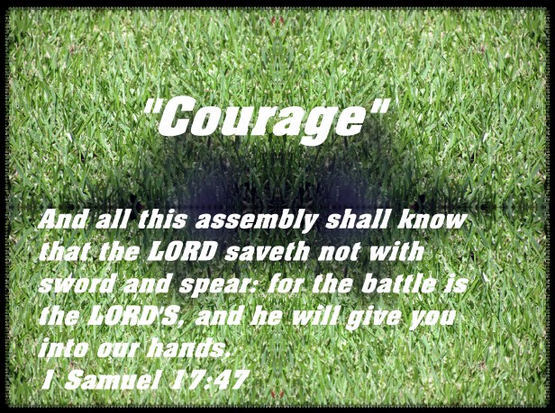 SX400 IS © Photo Artist Susan Ruth Robertson 090025006100 005 - Copy - Copy - Copy.JPG