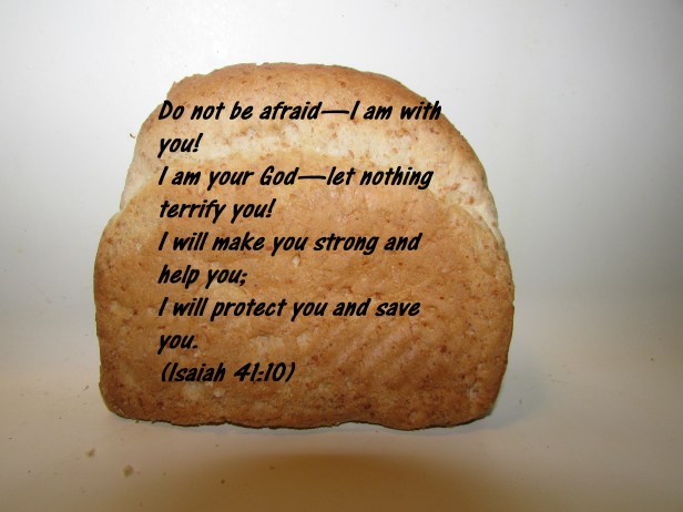 © Photo Artist Susan ruth Robertson 09002500100 003 - Copy (2).JPG