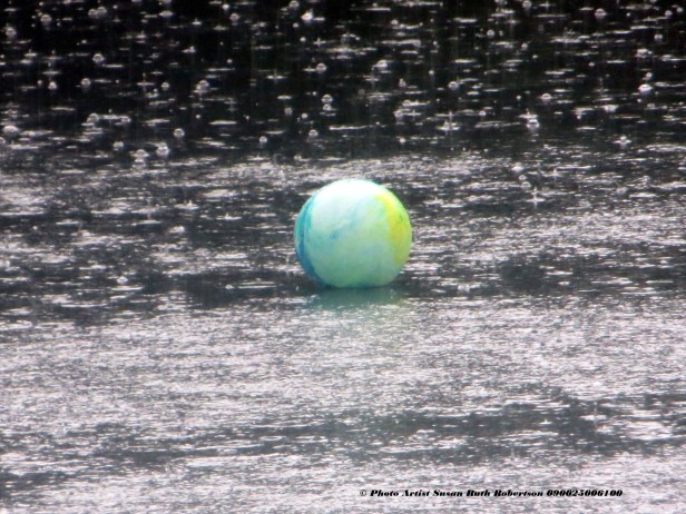 © Photo Artist Susan Ruth Robertson 090025006100 001.JPG