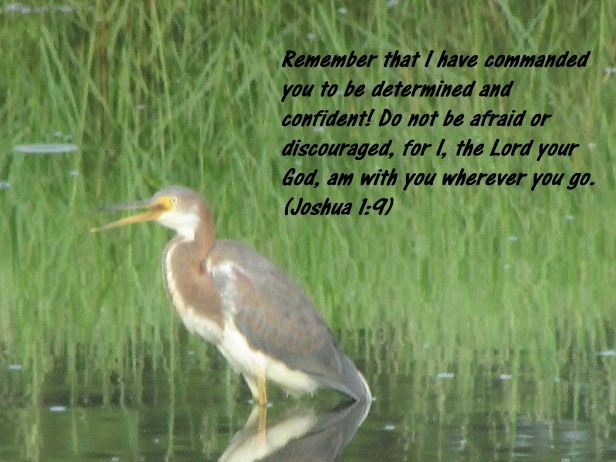 © Photo Artist Susan Ruth Robertson 090025006100 009.JPG