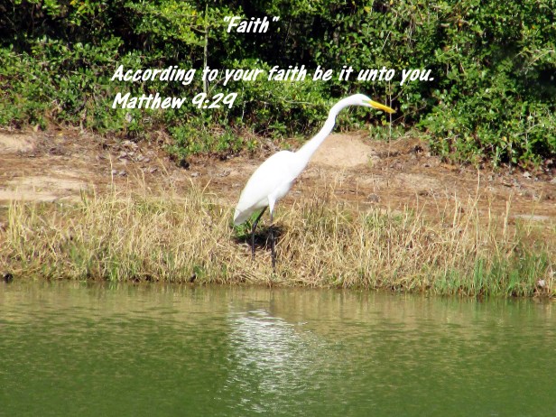 © Photo Artist Susan Ruth Robertson 090025006100 020 - Copy.JPG