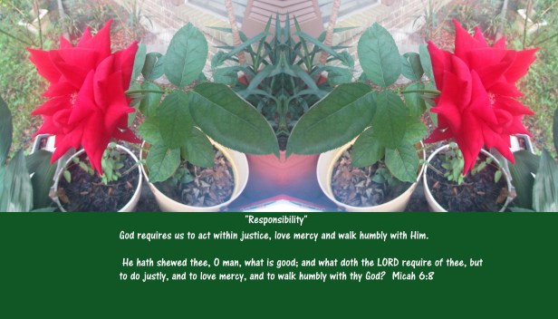 ©Photo Artist Susan Ruth Robertson 090025006100 007 - Copy.JPG