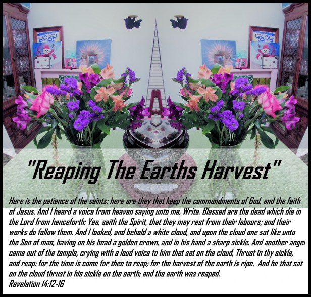 © Photo Artist Susan Ruth Robertson 090025006100 002 - Copy.JPG