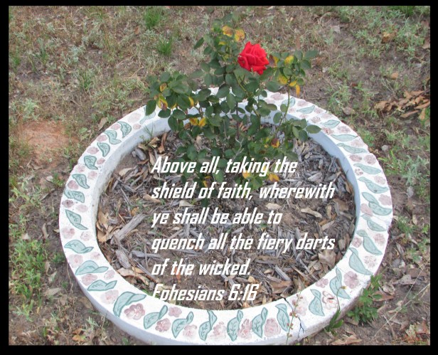 © Photo Artist Susan Ruth Robertson 090025006100 002 - Copy