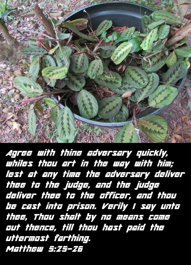 © Photo Artist Susan Ruth Robertson 090025006100 005 - Copy