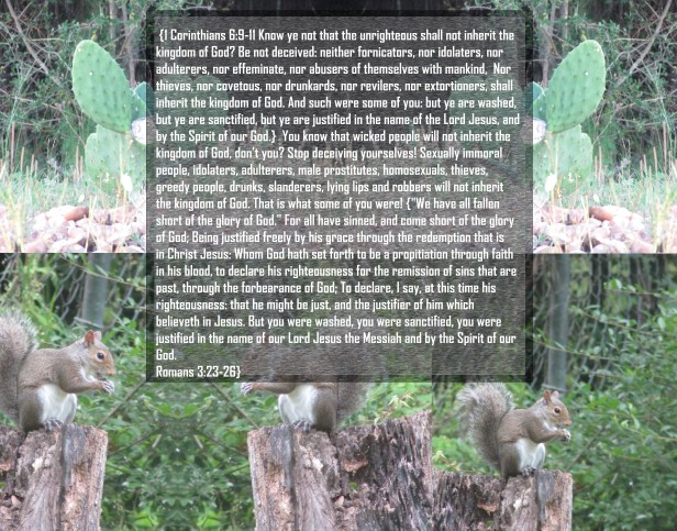 © Photo Artist Susan Ruth Robertson 090025006100 009 - Copy - Copy (2).JPG