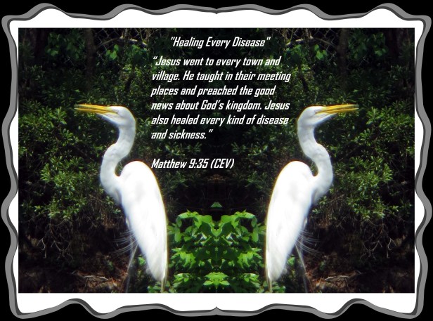 © Photo Artist Susan Ruth Robertson 090025006100 014 - Copy.JPG