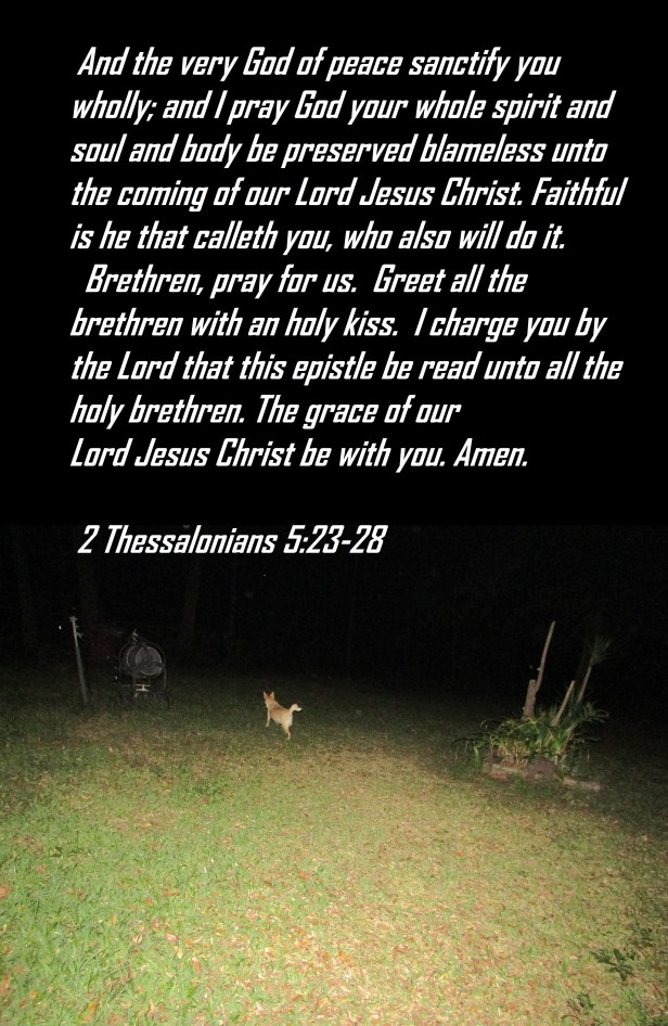 © Photo Artist Susan Ruth Robertson 090025006100 028.JPG